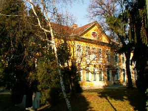nemet11